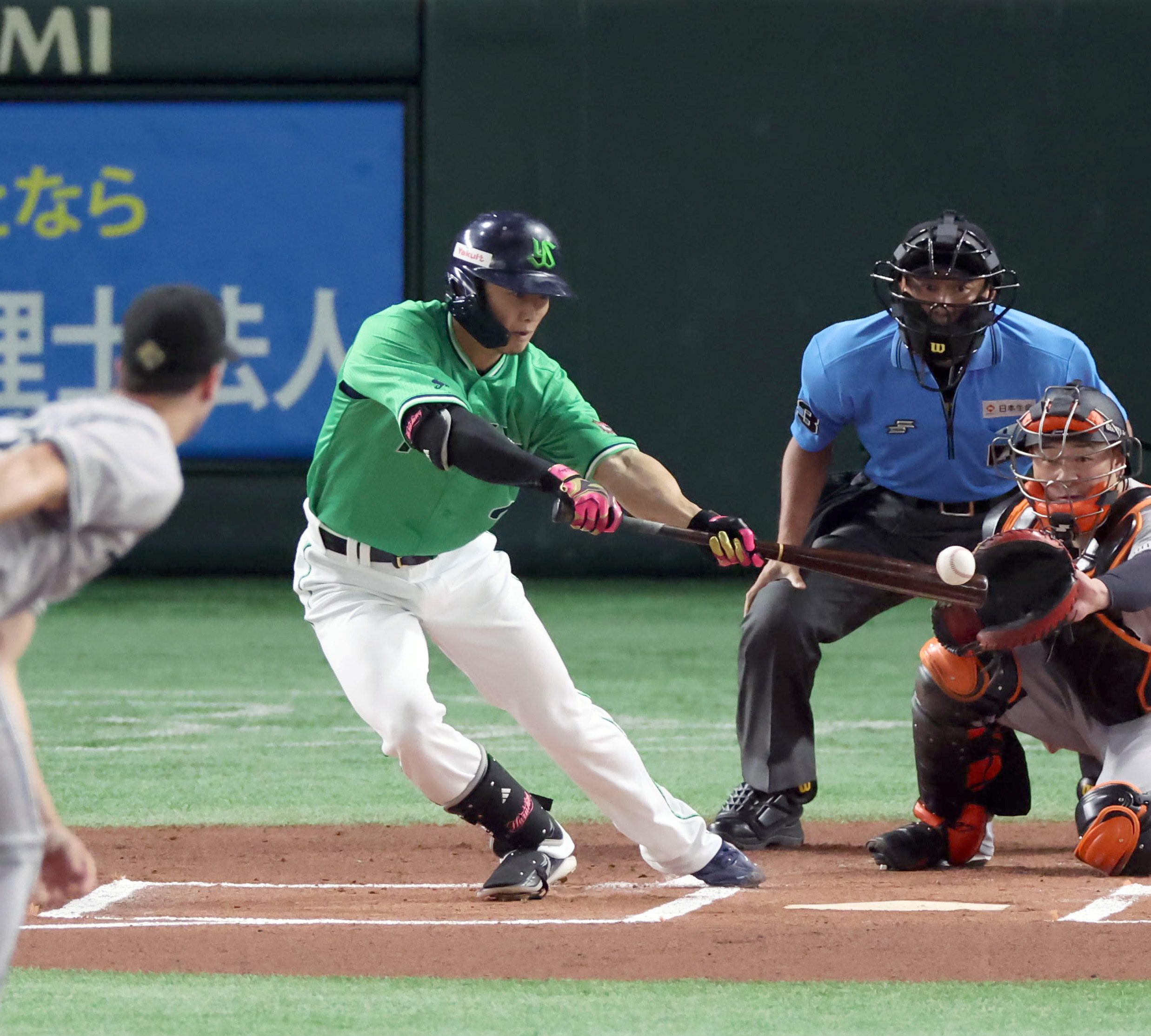 ヤクルト 日本ハム 西川遥輝 選手 実使用 バッティンググローブ 支給品