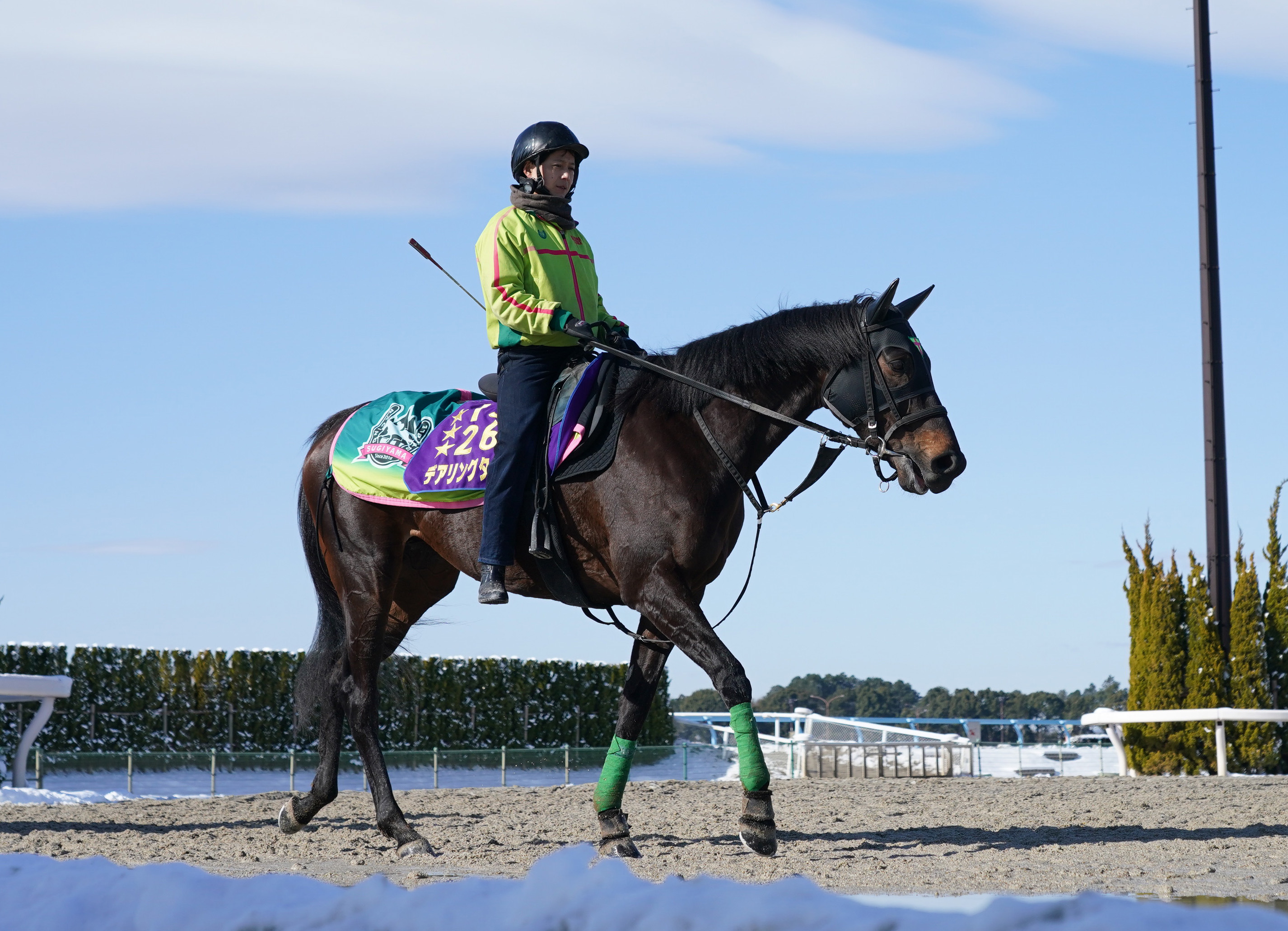 デアリングタクトが引退 20年に史上初の無敗で牝馬三冠達成 - 産経