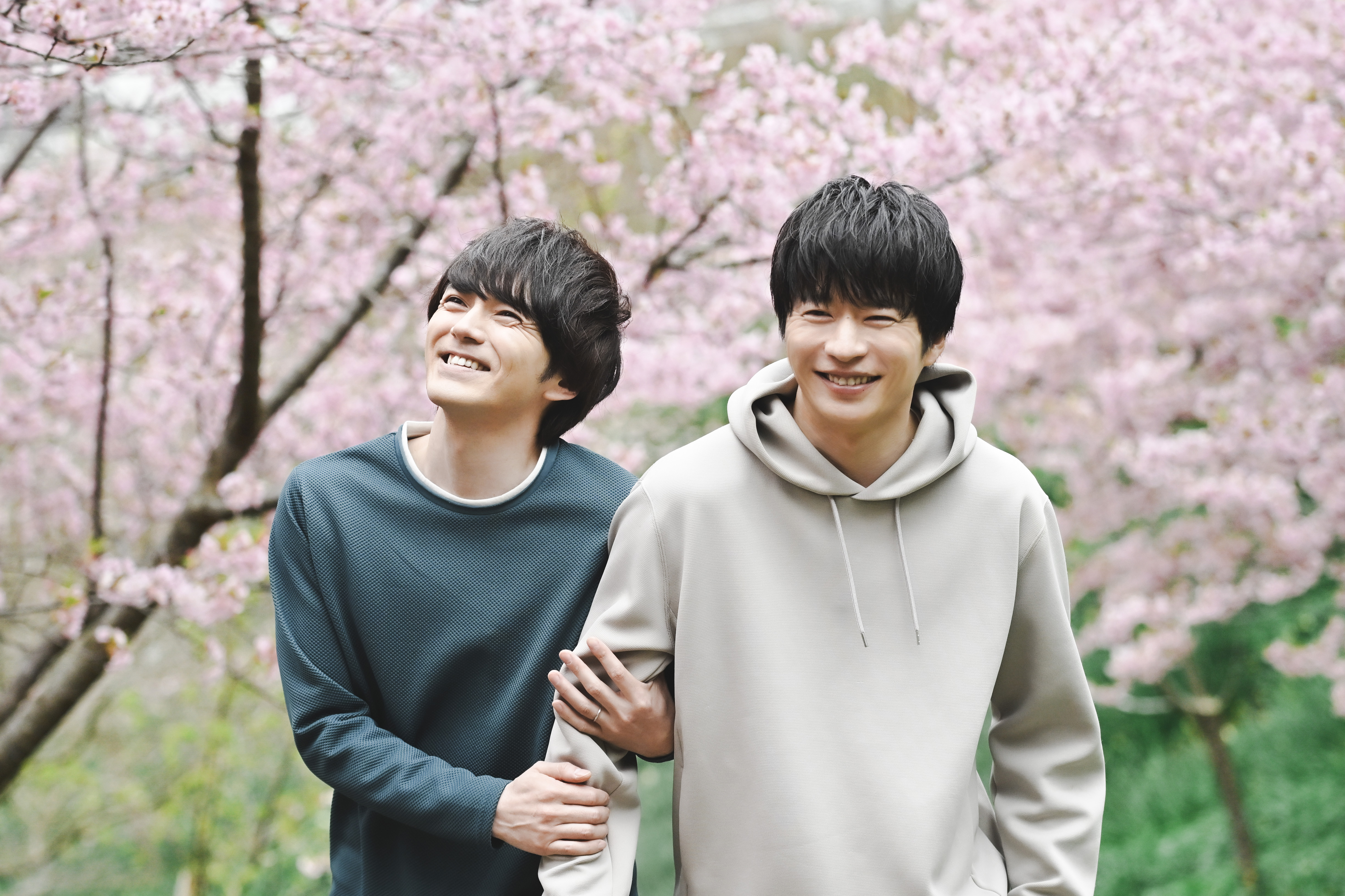 おっさんずラブ」最終回でまさかの伏線回収！ 春田（田中圭）が撮影