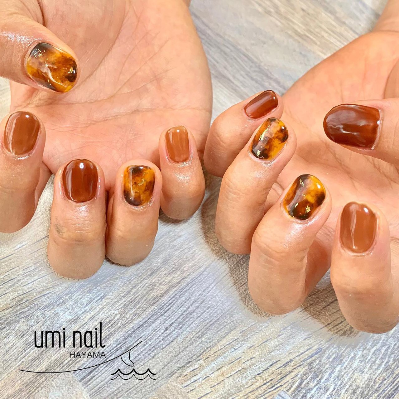 ベトロ ベラフォーマ 70色セット ベトロ ベラフォーマ 70色セット ベ