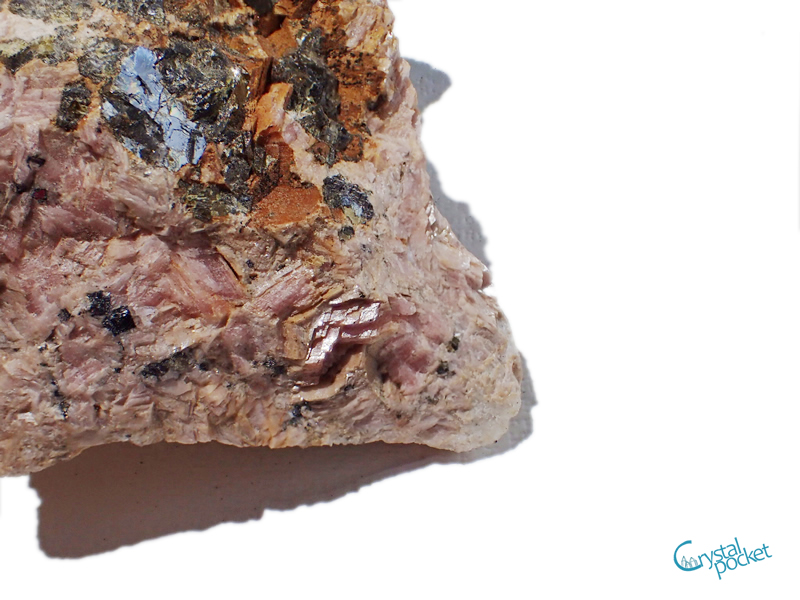 ニチカ 鉱物 化石 岩石ニッパ - クリスタルポケット