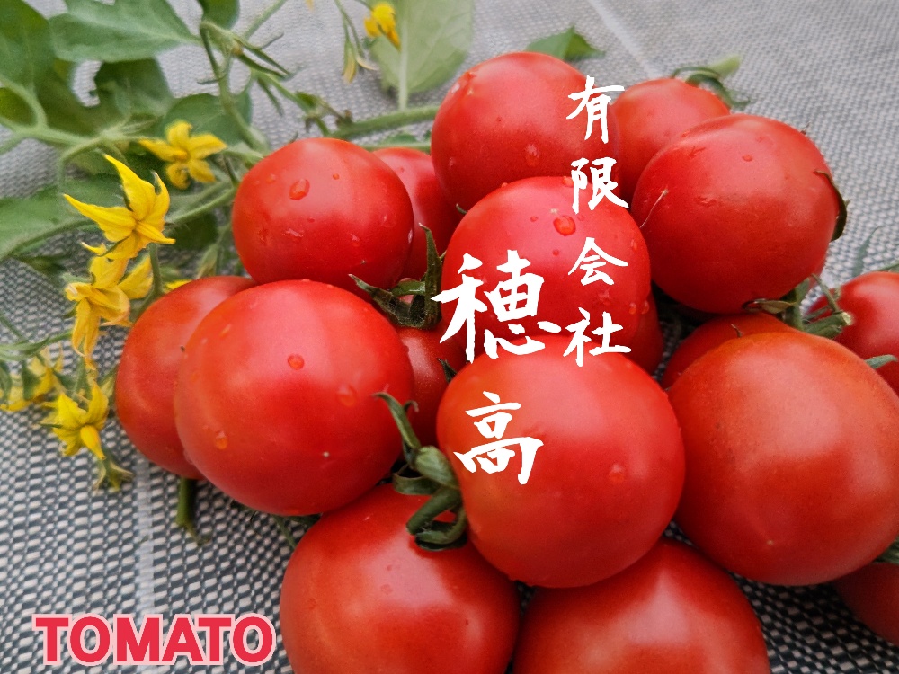 HODAKA 有限会社穂高 静岡県・磐田市より甘いトマトをお届け！