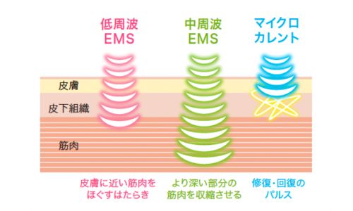 テラミースプラッシュパルス2700｜「リフトケア」「頭皮ケア」が 一台