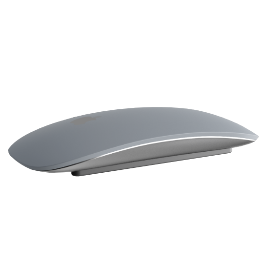 Shop Apple Magic Mouse 2 Steel Matte | Craft by Merlin