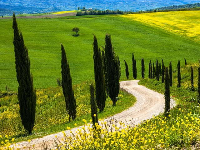 シエナとフィレンツェが奪い合った 丘の上の小さな街から望む至福の