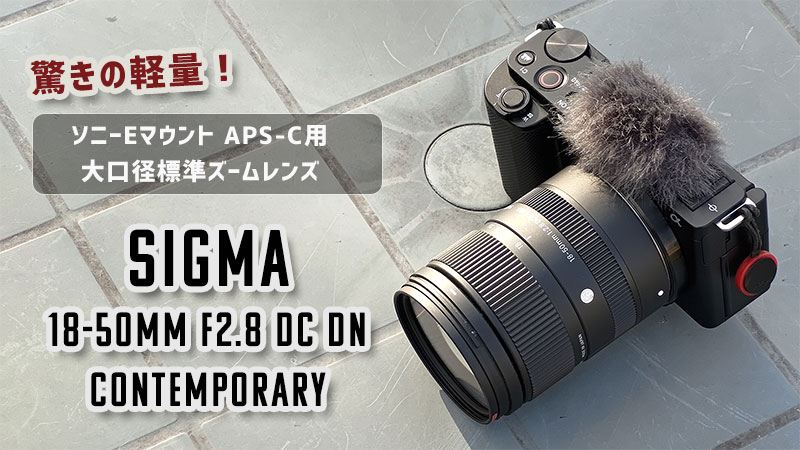 作例・レビュー】SIGMA 18-50mm F2.8 DC DN | 最初の1本におすすめの