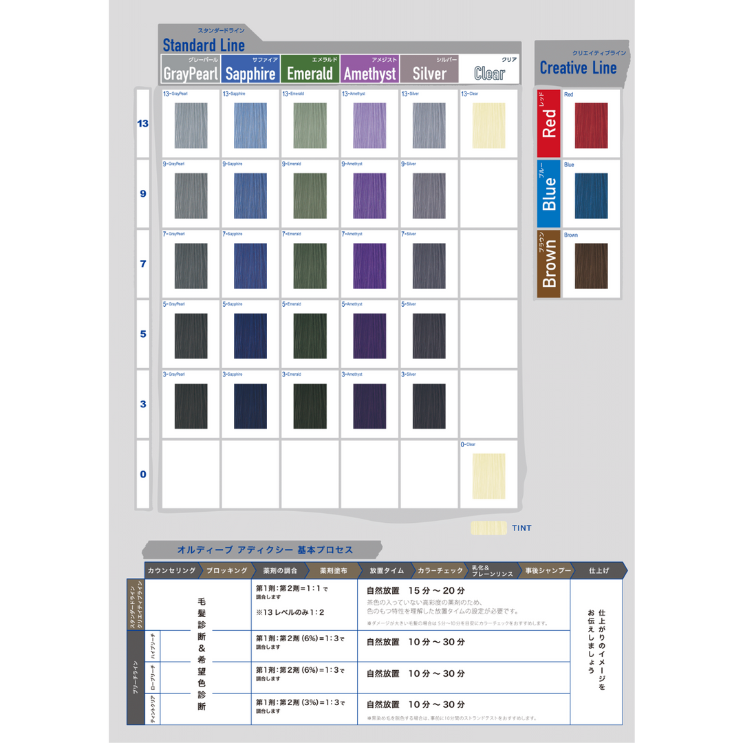 オルディーブ アディクシー 13-SI シルバー 80g – DD
