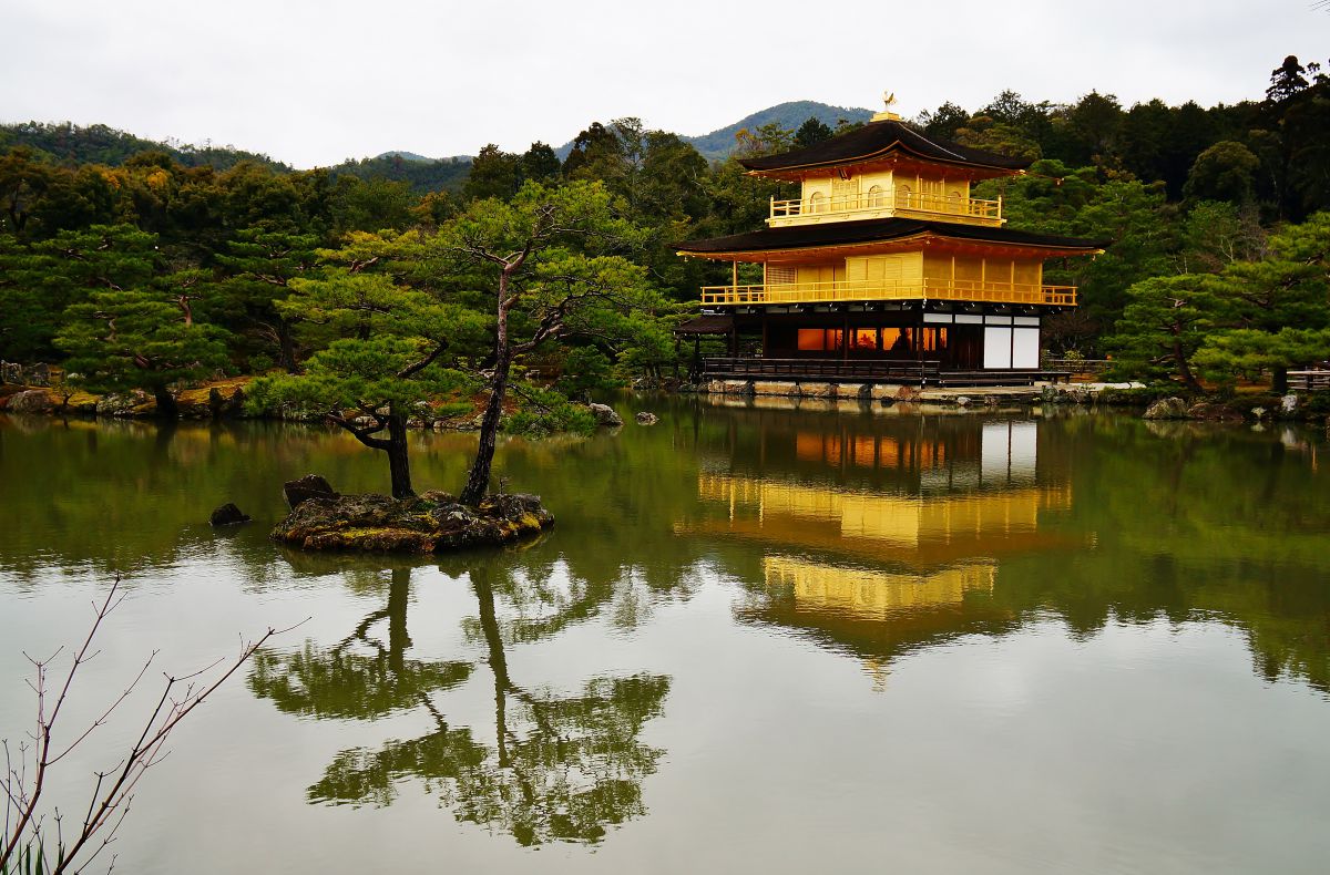 1763df58ce17712b315025c3f1b3a9