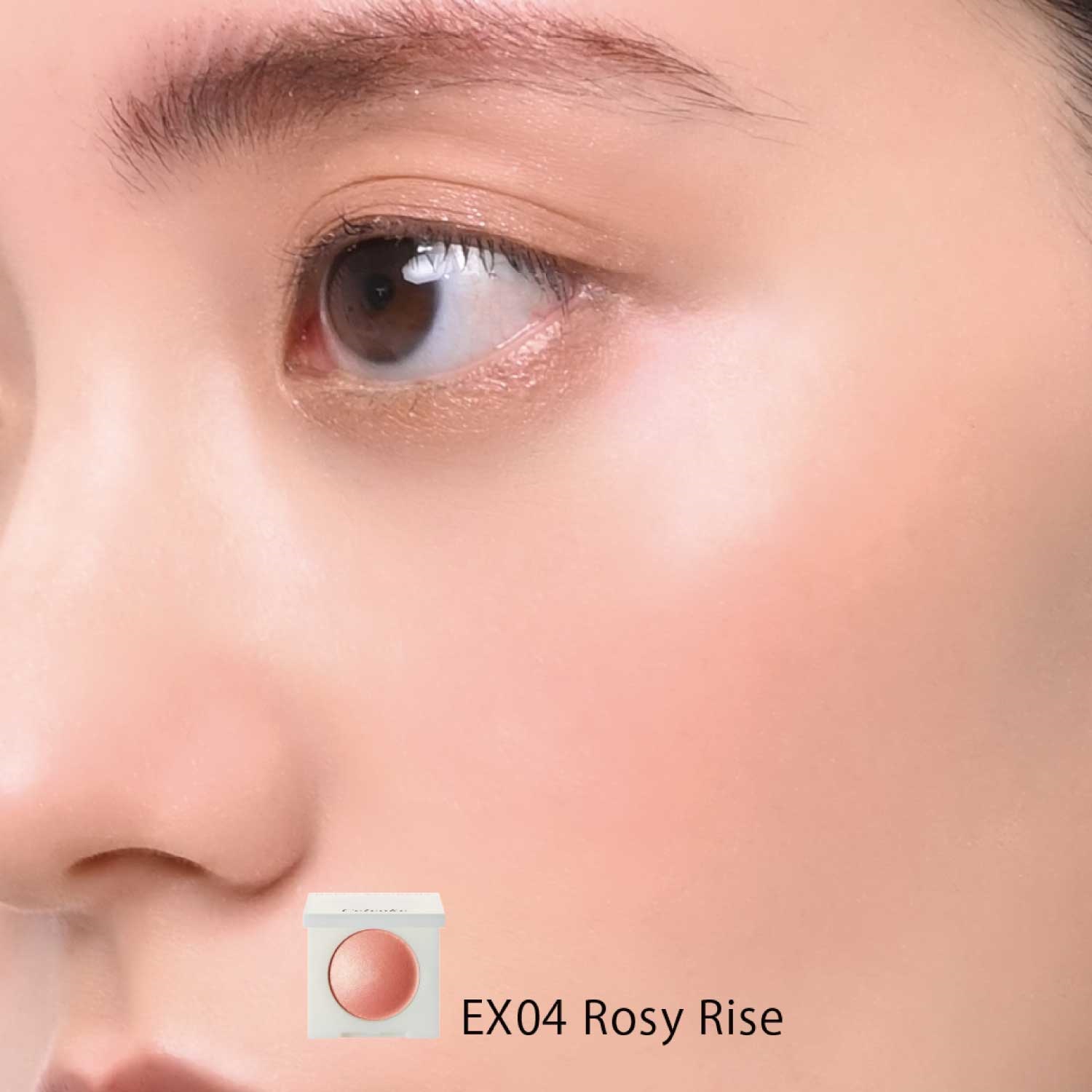 Celvoke】ルミナスドーム ブラッシュ［EX03,EX04］＜2025 Holiday