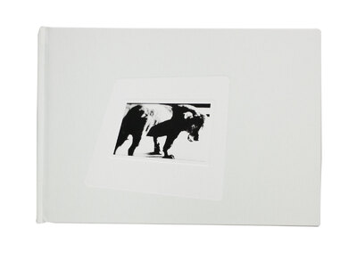 Daido Slide - 森山大道 | shashasha 写々者 - 写真集とアートブック