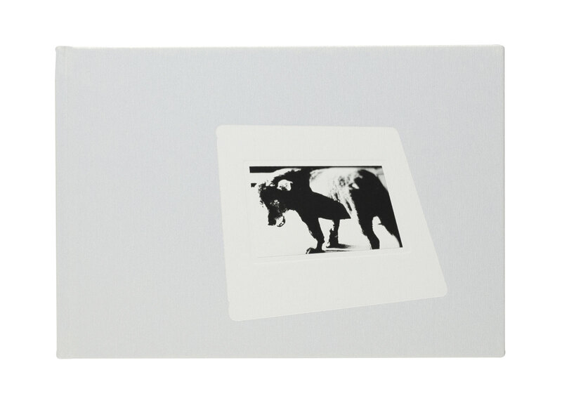 Daido Slide - Daido MORIYAMA | shashasha - Photography & art in books