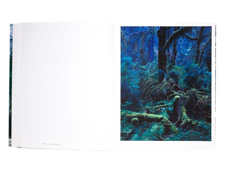 FOREST 印象と記憶 1989-2017 - 上田義彦 | shashasha 写々者 - 写真集