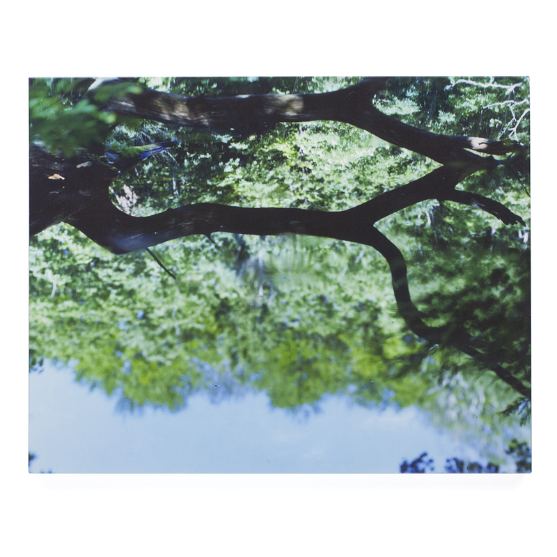 Water Mirror - 鈴木理策 | shashasha 写々者 - 写真集とアートブック