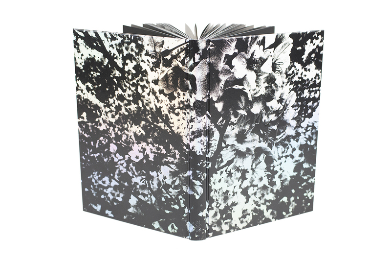 Daido Moriyama: Ango（英語版） - 森山大道 | shashasha 写々者