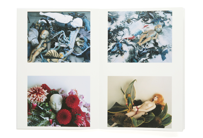 梅ヶ丘墓情 - 荒木経惟 | shashasha 写々者 - 写真集とアートブック