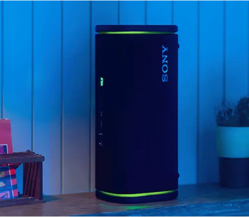 126702_original_local_504x441_