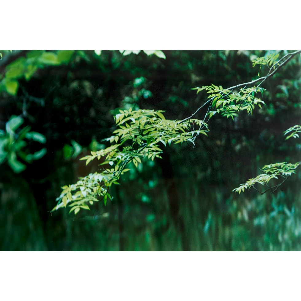 UESHIMA MUSEUM COLLECTION