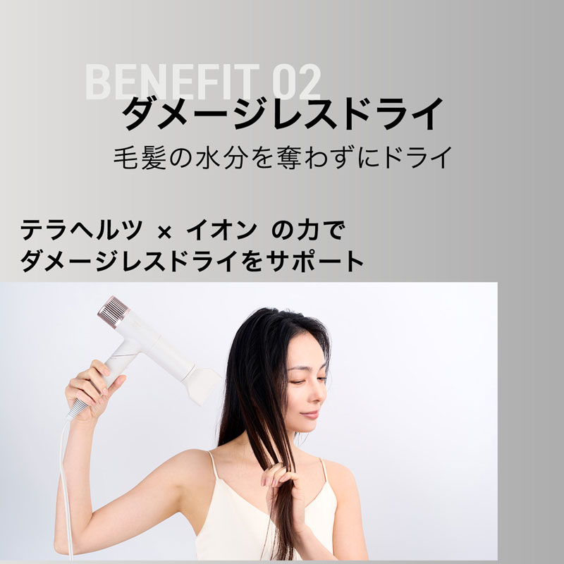 INGRACE Velena Hair Dryer（グレージュ）｜郵便局のネットショップ