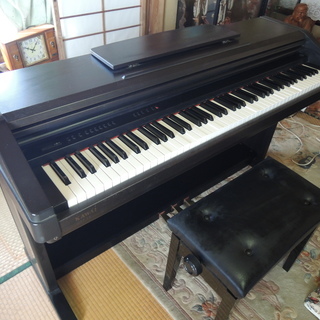 井上裕史先生のコア骨盤メソッド DVD 3枚組+特典DISC1枚 販売