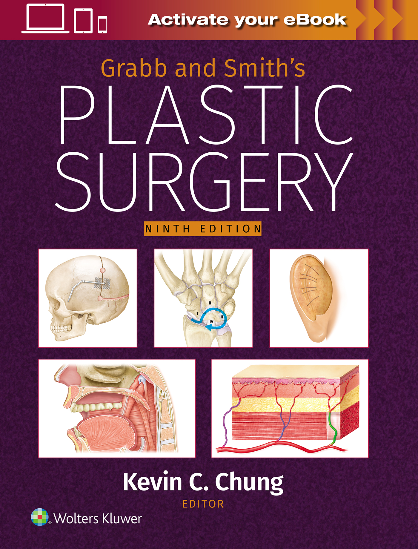 Grabb & Smith's Plastic Surgery, 9th ed.: 洋書／南江堂