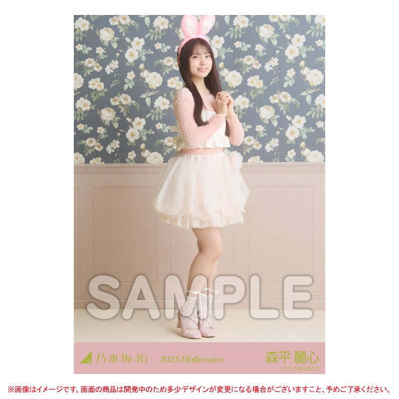 乃木坂46 OFFICIAL WEB SHOP | 乃木坂46 グッズ通販サイト