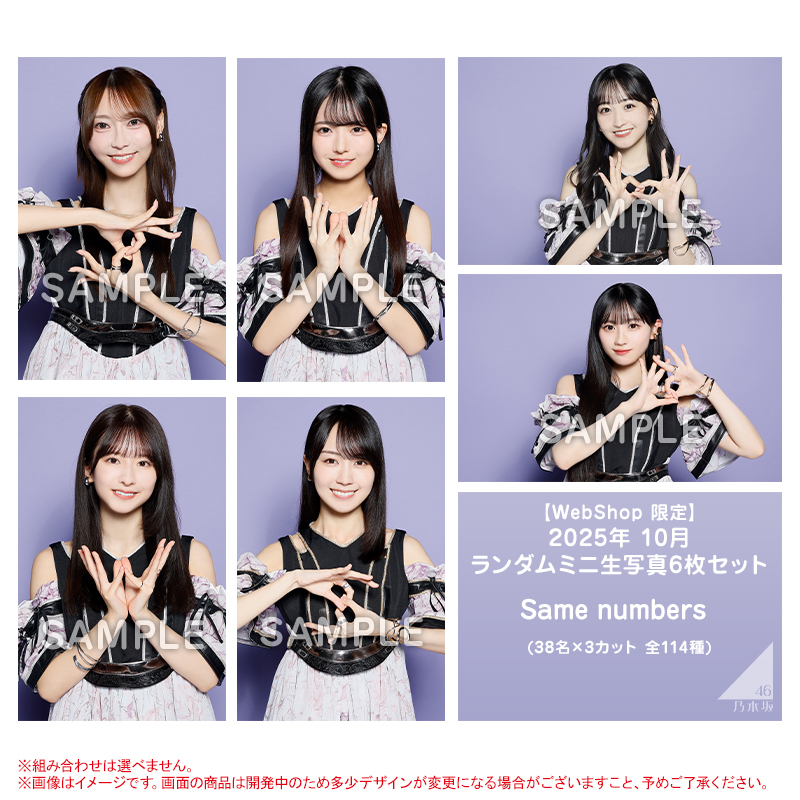 乃木坂46 OFFICIAL WEB SHOP | 乃木坂46 グッズ通販サイト