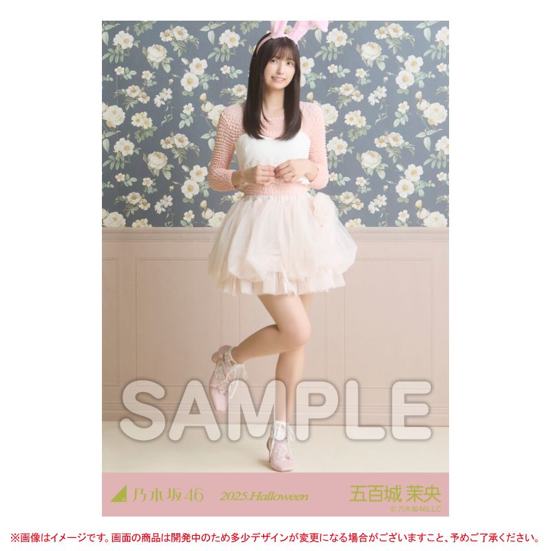 乃木坂46 OFFICIAL WEB SHOP | 乃木坂46 グッズ通販サイト