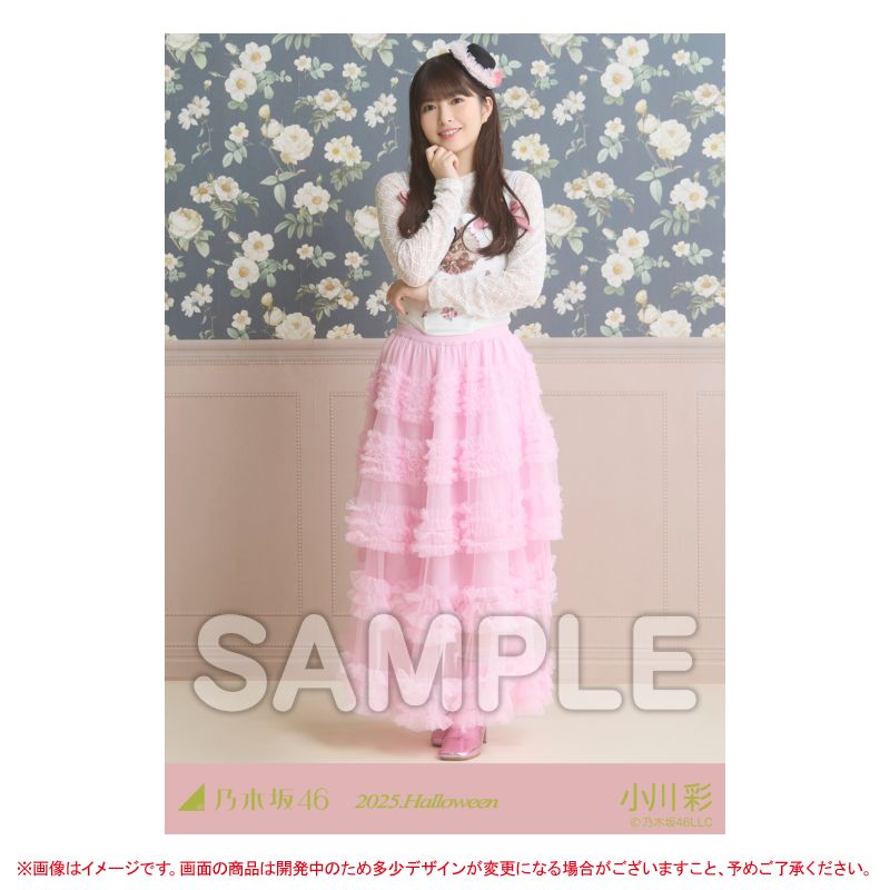 乃木坂46 OFFICIAL WEB SHOP | 乃木坂46 グッズ通販サイト