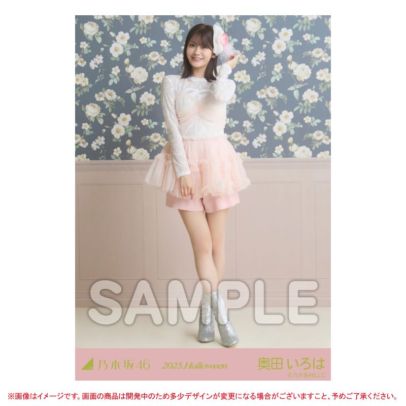 奥田いろは 生写真セット 乃木坂46 奥田いろは 生写真セット、ファイル