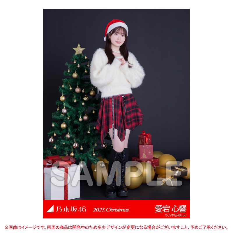 乃木坂46 OFFICIAL WEB SHOP | 乃木坂46 グッズ通販サイト