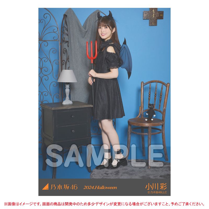 乃木坂46 OFFICIAL WEB SHOP | 乃木坂46 グッズ通販サイト