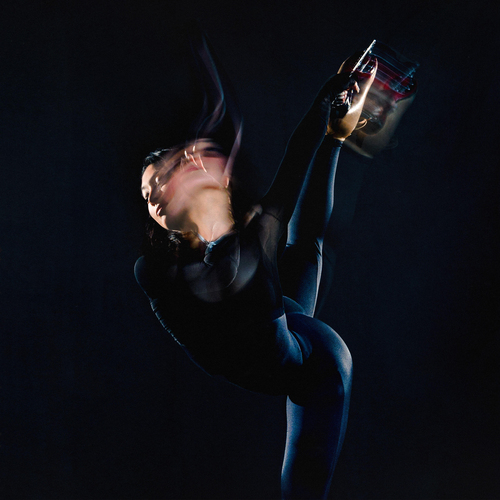 洋楽 Kelly Moran Bloodroot Telegraph Harp CD 洋楽 Kelly Moran