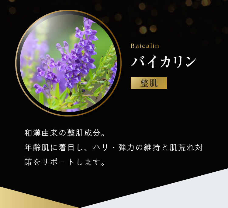 mamu（マム） | 公式オンラインストア