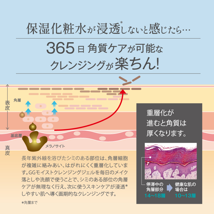 アゼライン酸20%配合シリーズ NIKIPITA（ニキピタ ）公式サイト｜GG