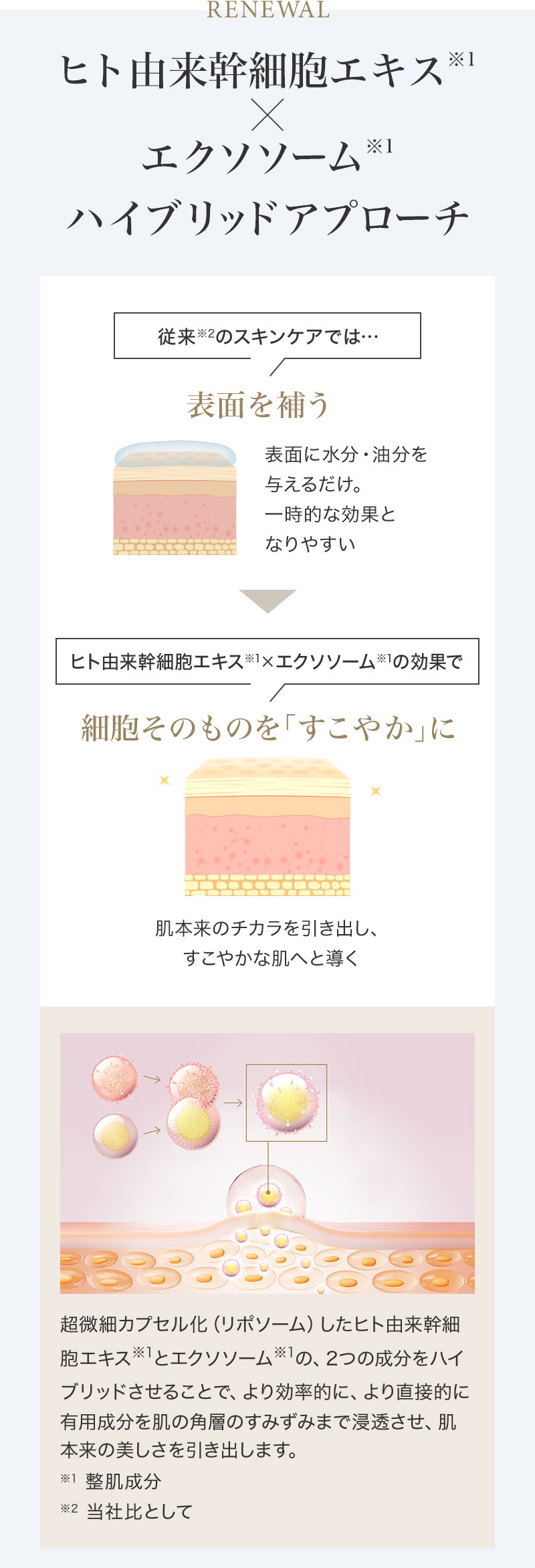 SBC湘南美容クリニックオンラインストア