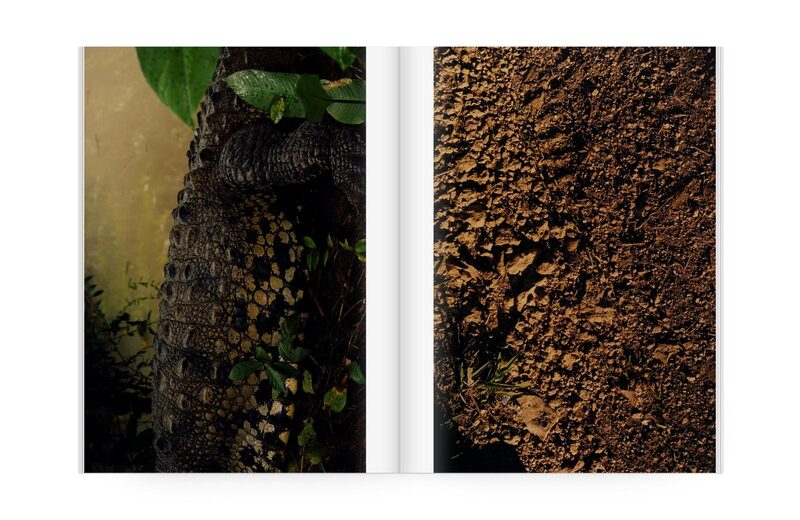 Deeper Green - Colin Dodgson | moom bookshop - art books and magazines