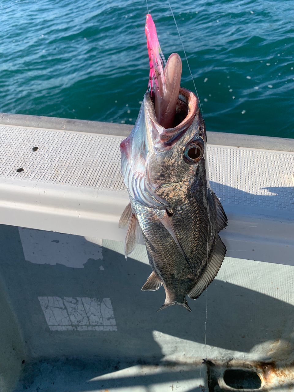 SHIMANO 18オシアジガー ∞ (インフィニティ) モーティブ B610-5の最