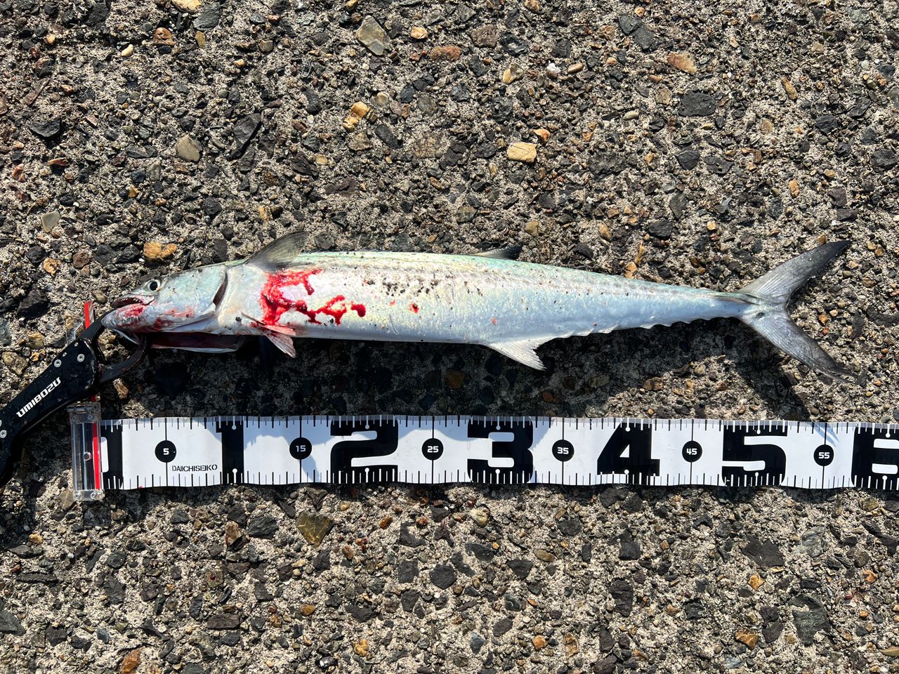 SHIMANO 20コルトスナイパー XR S96MLの最安値・インプレ・釣果 | 本音