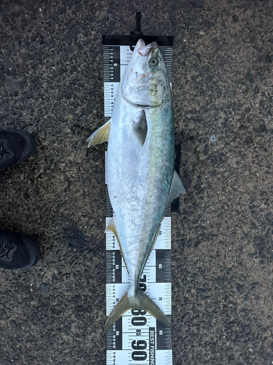 SHIMANO 22コルトスナイパー XR MB S100XH-5の最安値・インプレ・釣果