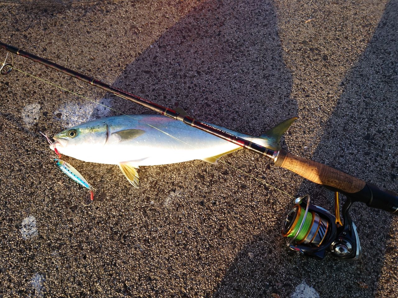 AbuGarcia ワールドモンスター WMS-774MLの最安値・インプレ・釣果