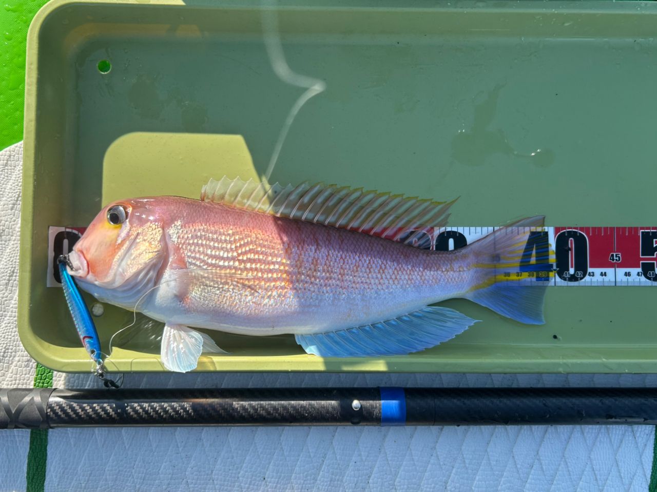 SHIMANO 21グラップラー BB タイプLJ ベイト B66-0の最安値・インプレ