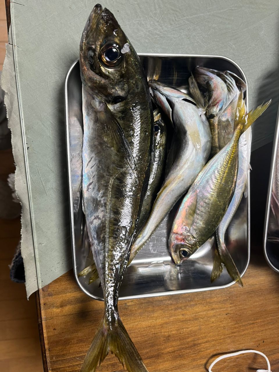 MajorCraft 鯵道 5G AD5-S722H/AJIの最安値・インプレ・釣果 | 本音の