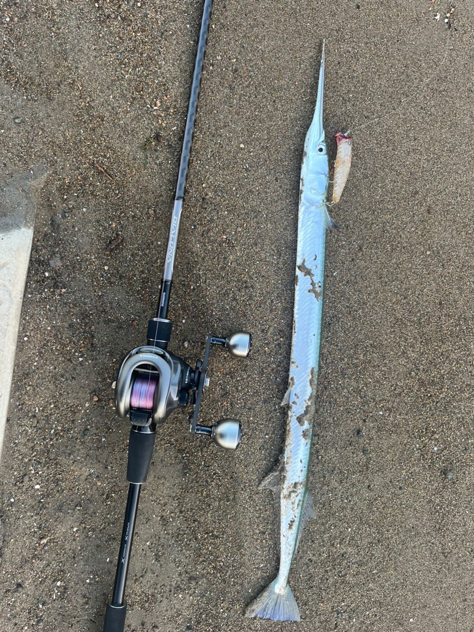 SHIMANO 18ディアルーナ B96Mの最安値・インプレ・釣果 | 本音の口コミ