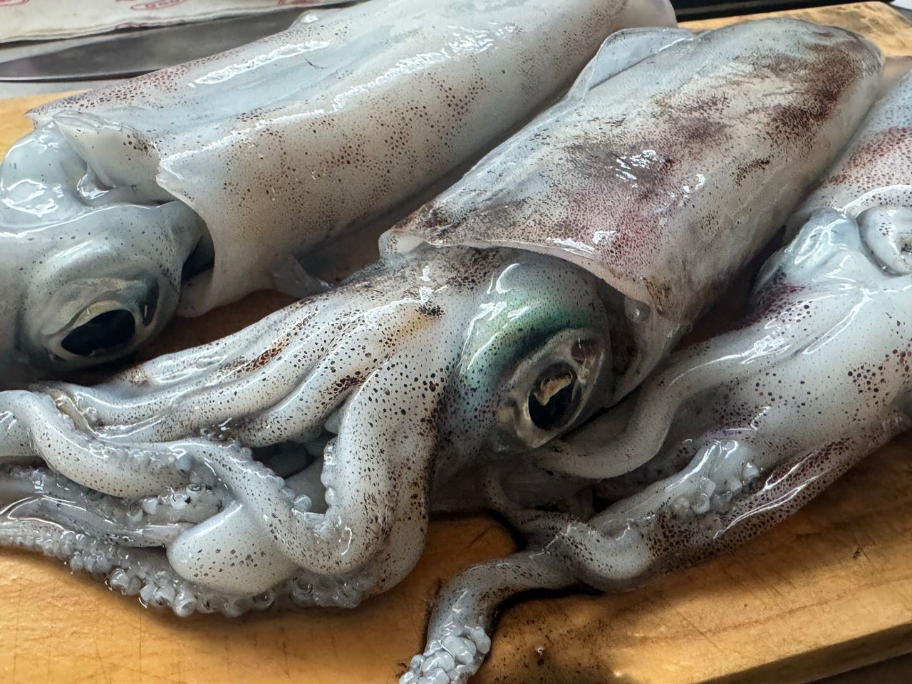 Gamakatsu ラグゼ EGTR X アルティメイト S65ML+-solidの最安値