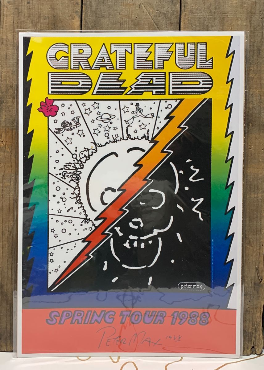 Grateful Dead Spring Tour 1988 Graphic Lightning Bolt Skull Poster