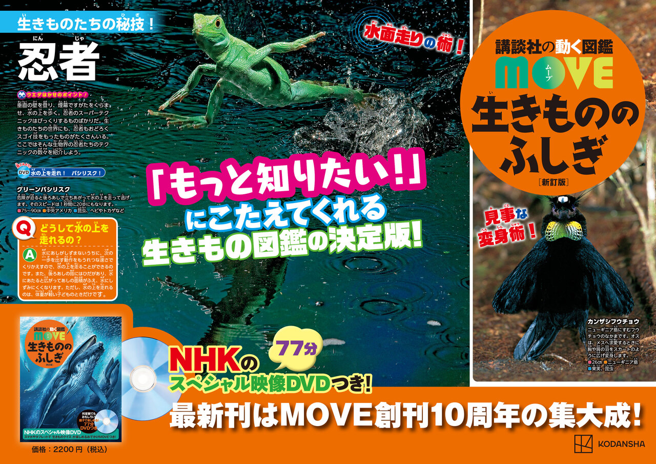 新刊「生きもののふしぎ 新訂版」は全方向でおもしろい！ - 講談社の