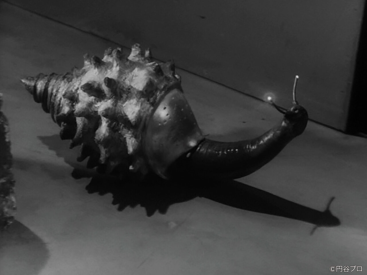 6月12日 ウルトラQ 貝獣ゴーガの呪いが発動 東京が火の海に