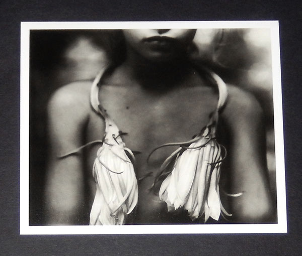 Immediate Family. by MANN, Sally | 1992 | New York: Aperture