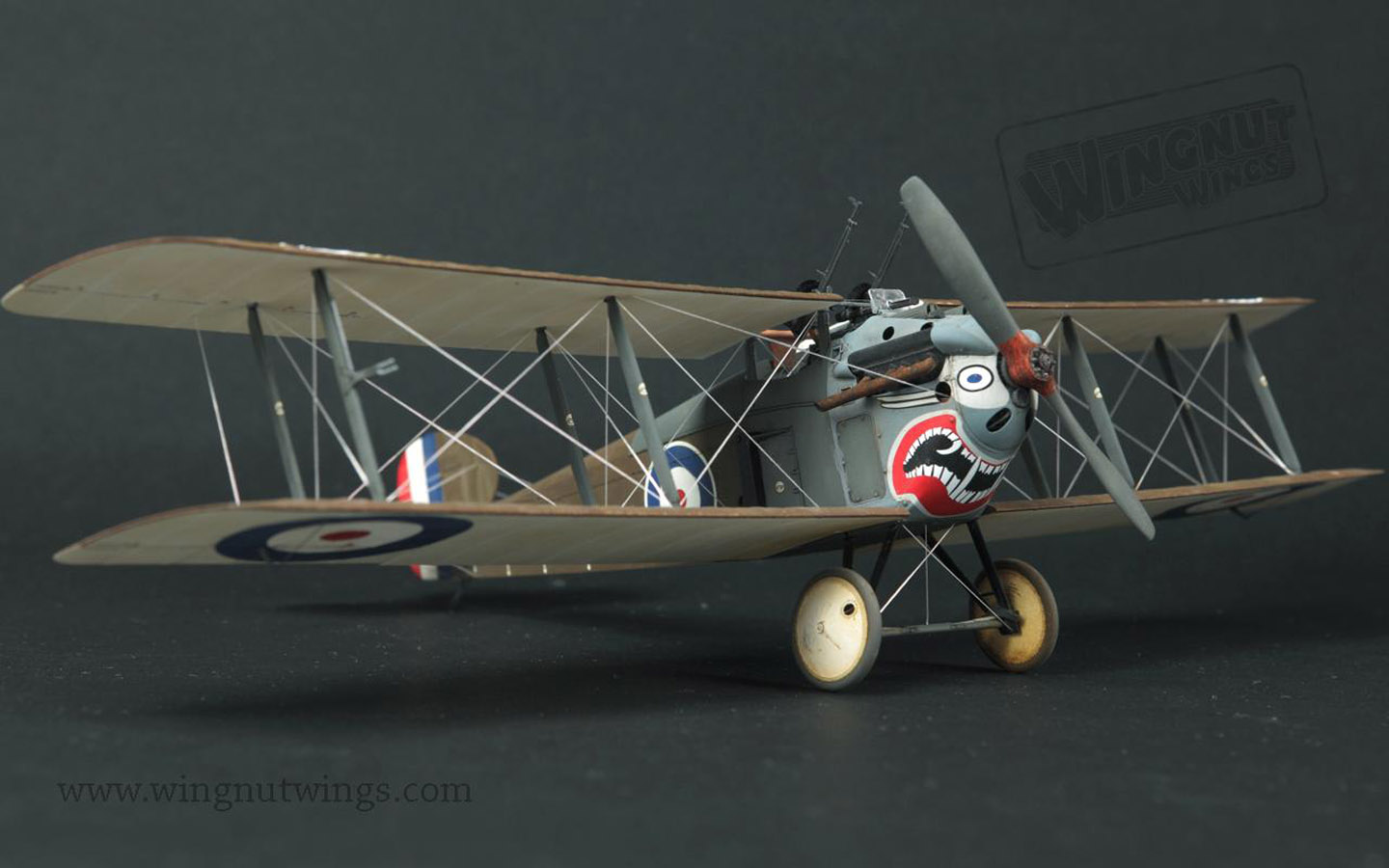 Sopwith 5F.1 Dolphin - Wingnut Wings 32073 | kingshobby.com