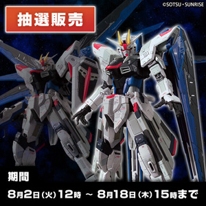 上海「実物大フリーダムガンダム立像」ガンプラ「RG フリーダム